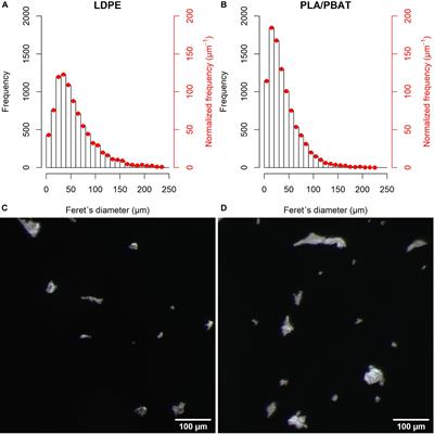 Microplastics Effects on Reproduction and Body Length of the Soil-Dwelling Nematode Caenorhabditis elegans